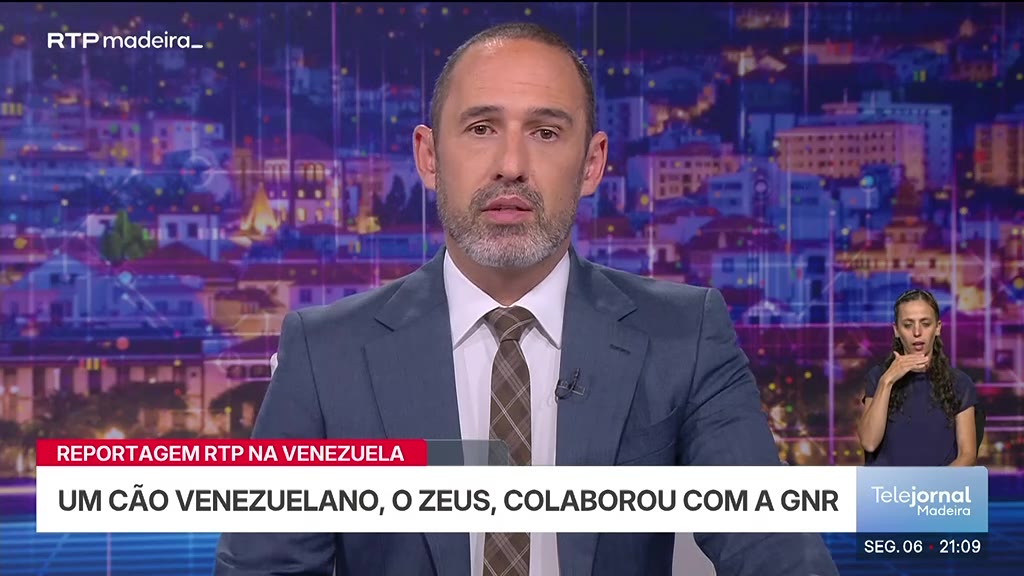 Resgate de vítimas na Venezuela com cães da GNR