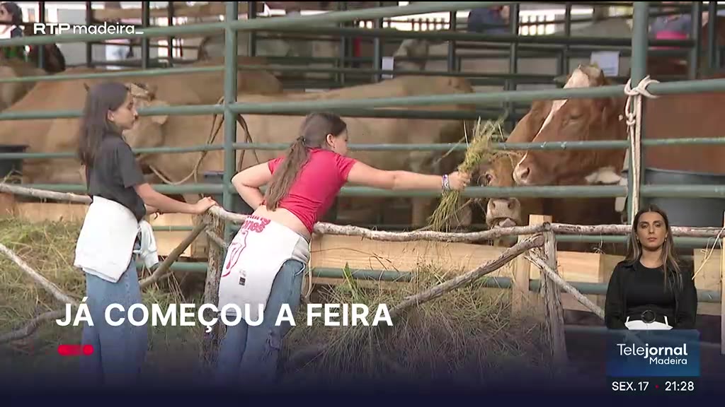 Feira do Gado 2024 reúne 150 expositores na Madeira