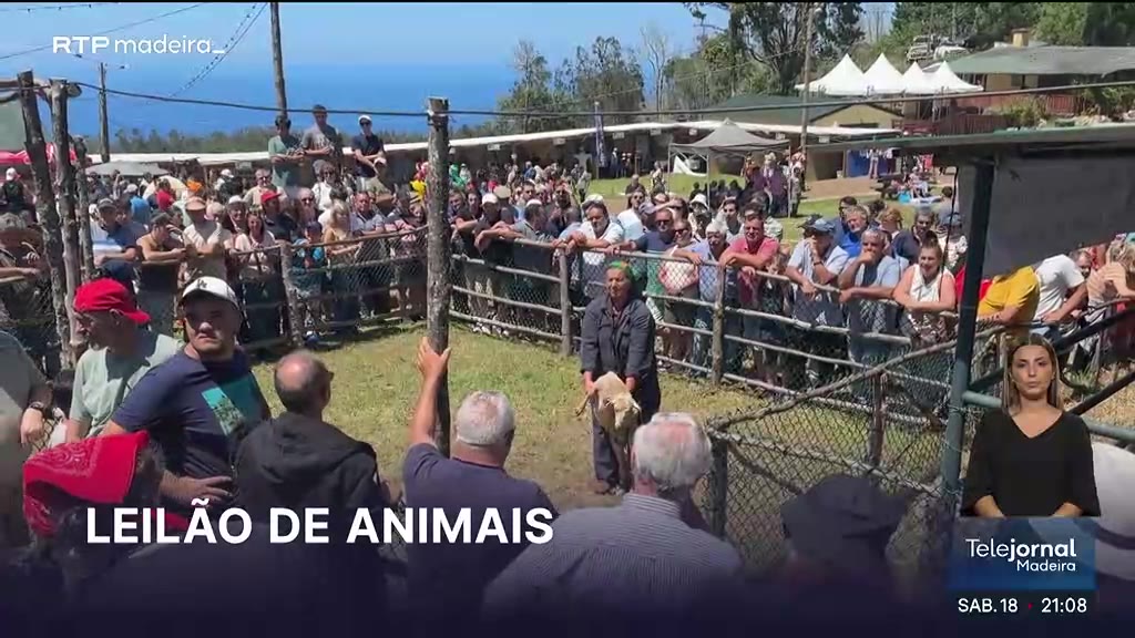 Feira do Gado no Porto Moniz atrai milhares de visitantes