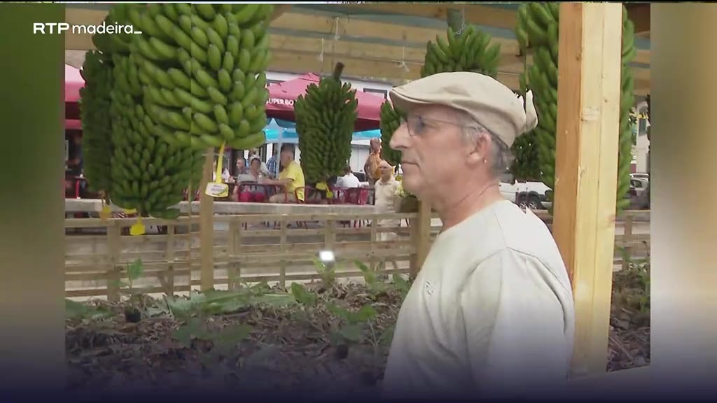 Governo desafia produtores de banana a criarem nova empresa para gerir produção