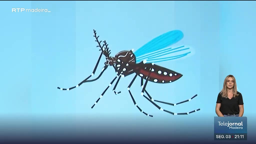 Alerta para eliminação de criadouros do mosquito Aedes aegypti