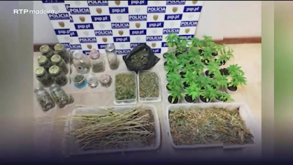 Polícia Judiciária queima 7 toneladas de drogas e anabolizantes