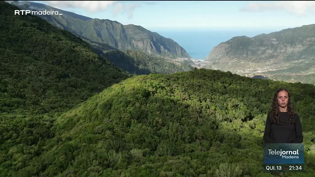 Índice de custo do trabalho na Madeira aumenta 5,6%