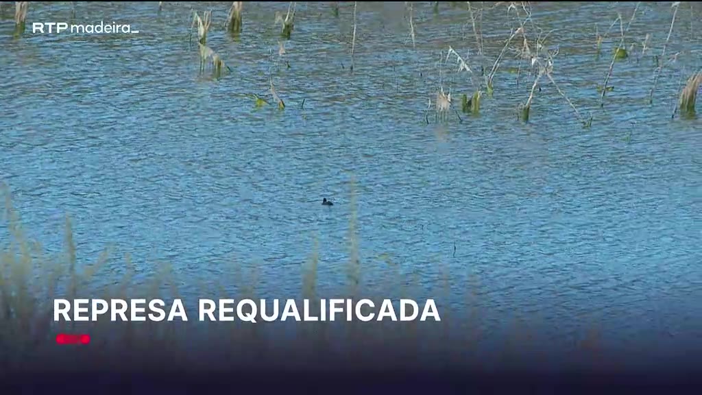 Recuperação da barragem do tanque no Porto Santo