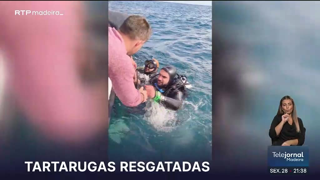 Estação de Biologia Marinha resgata cinco tartarugas feridas em 2024