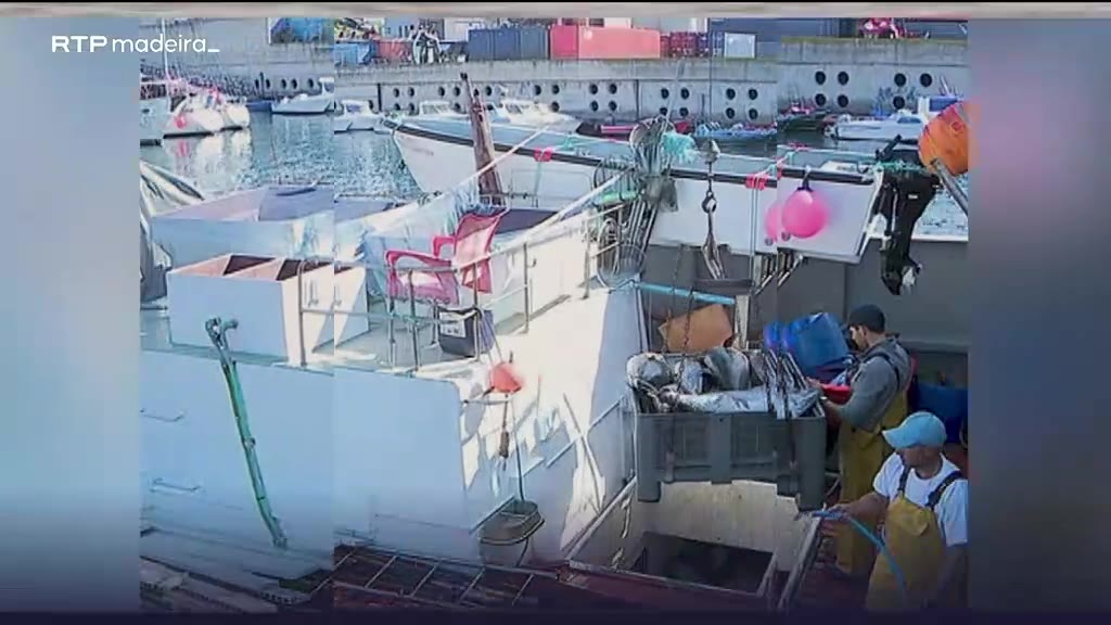 Aumento da cota de atum patudo, mas falta de pescadores