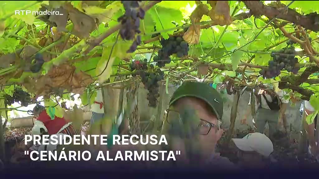 Presidente do Governo Regional desvaloriza venda de terrenos da vinha para imobiliário