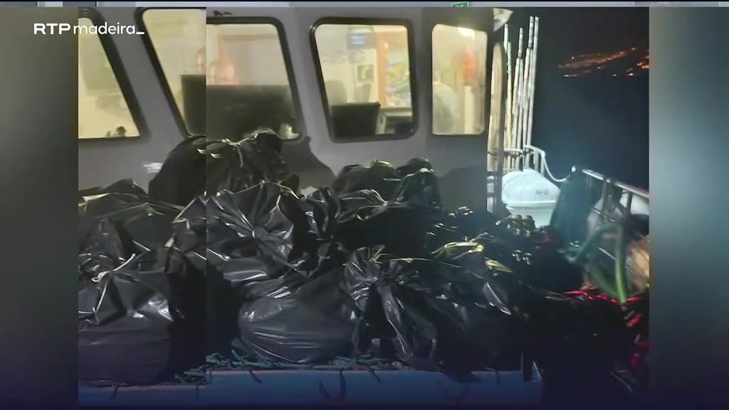 Apreensão de gaiado seco pela Polícia Marítima