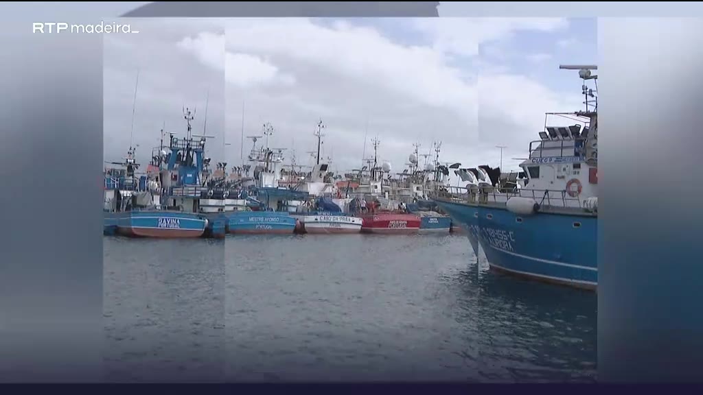 Apreensão de duas toneladas de gaiato seco no Caniçal