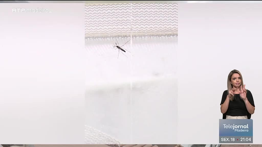 Combate ao mosquito Aedes aegypti intensificado