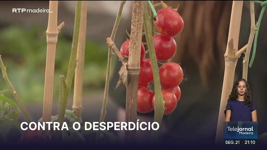 Semana da Alimentação promove hábitos saudáveis no Funchal