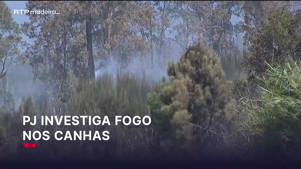 Incêndio rural nas Altas dos Canhas investigado pela Polícia Judiciária