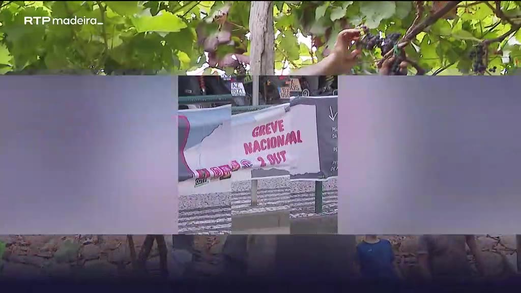 Greve na Função Pública afeta serviços na Madeira
