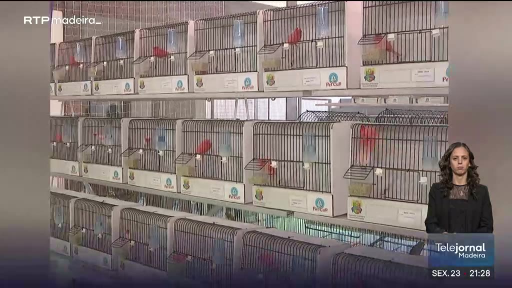 1.700 aves em concurso internacional na Madeira