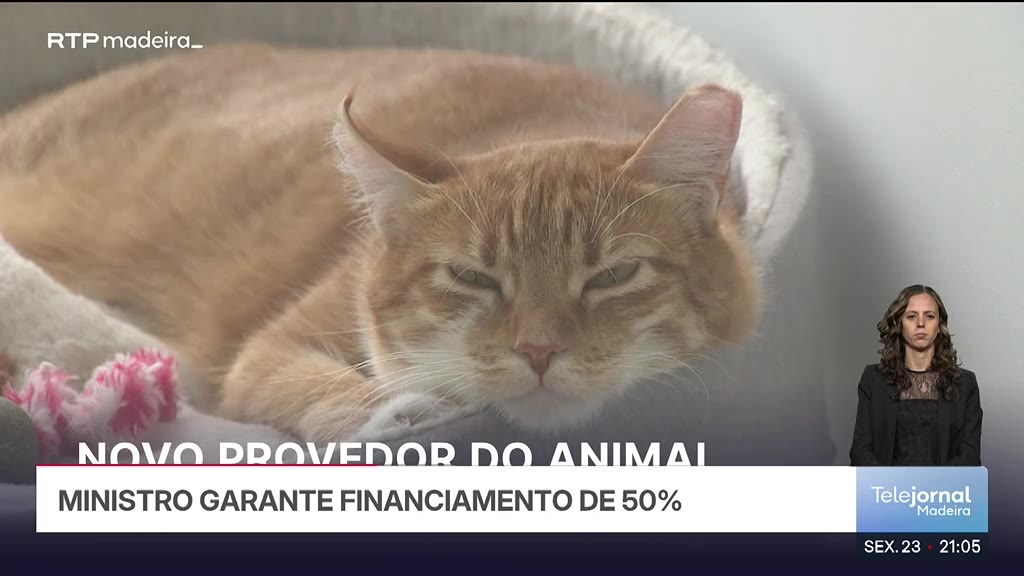 Provedor do Animal quer unir entidades de defesa animal