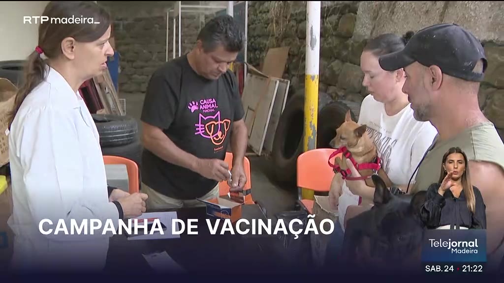 Campanha de vacinação gratuita para cães e gatos no Funchal