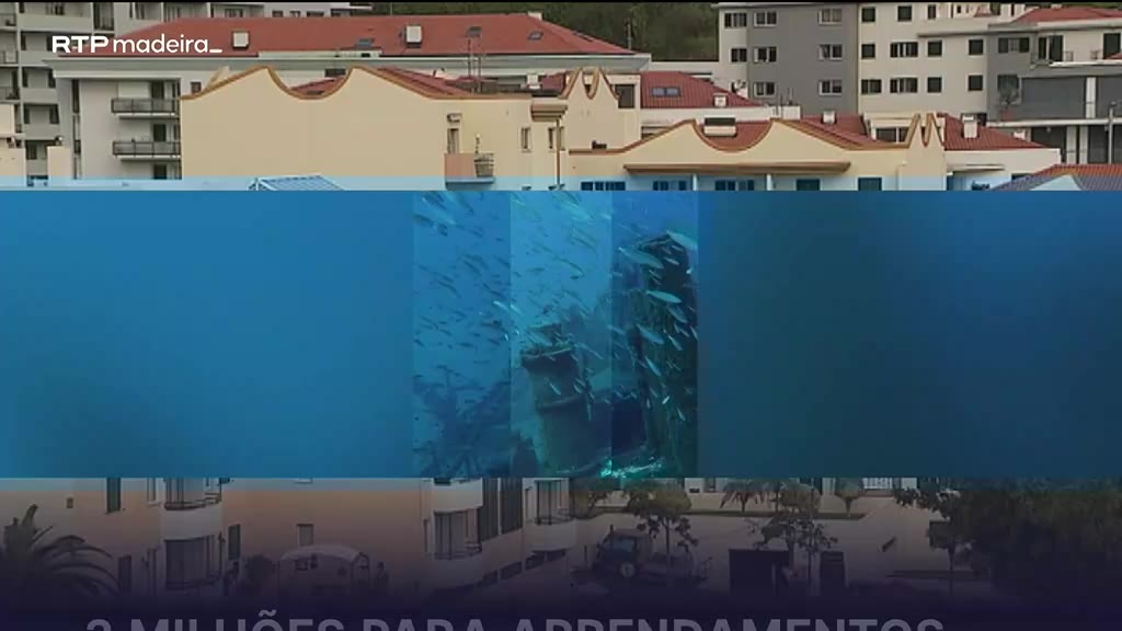 Expedição Madeira Ocean descobre biodiversidade surpreendente em Porto Santo